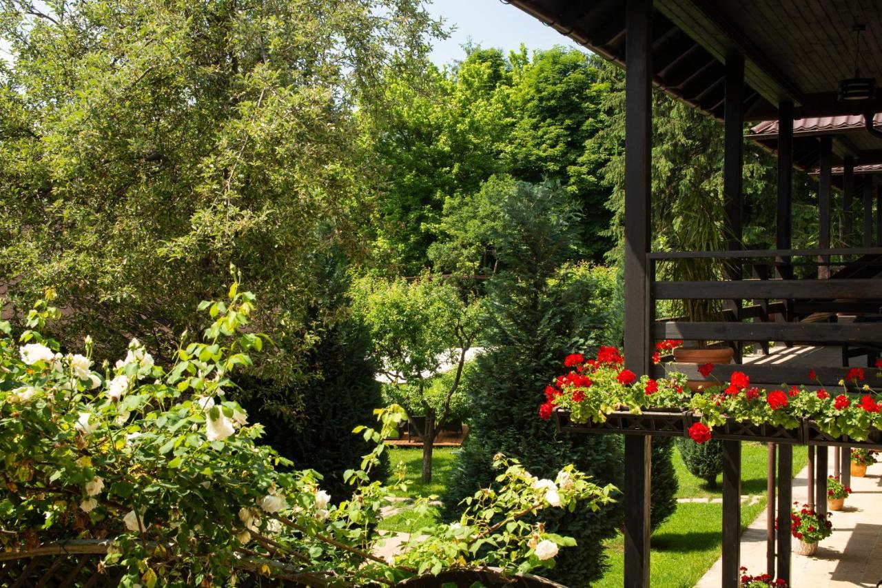 Pension Andra'S House Horezu Dış mekan fotoğraf