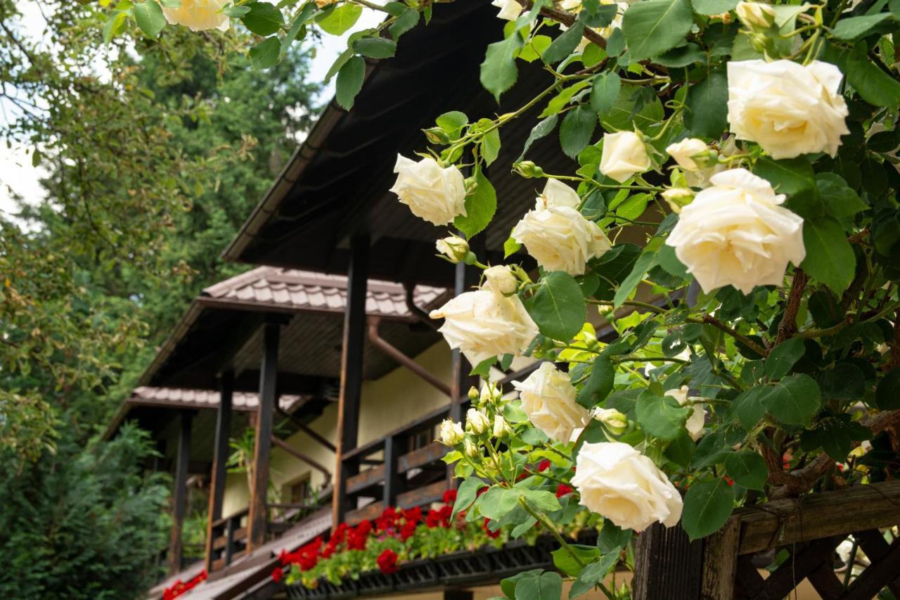 Pension Andra'S House Horezu Dış mekan fotoğraf