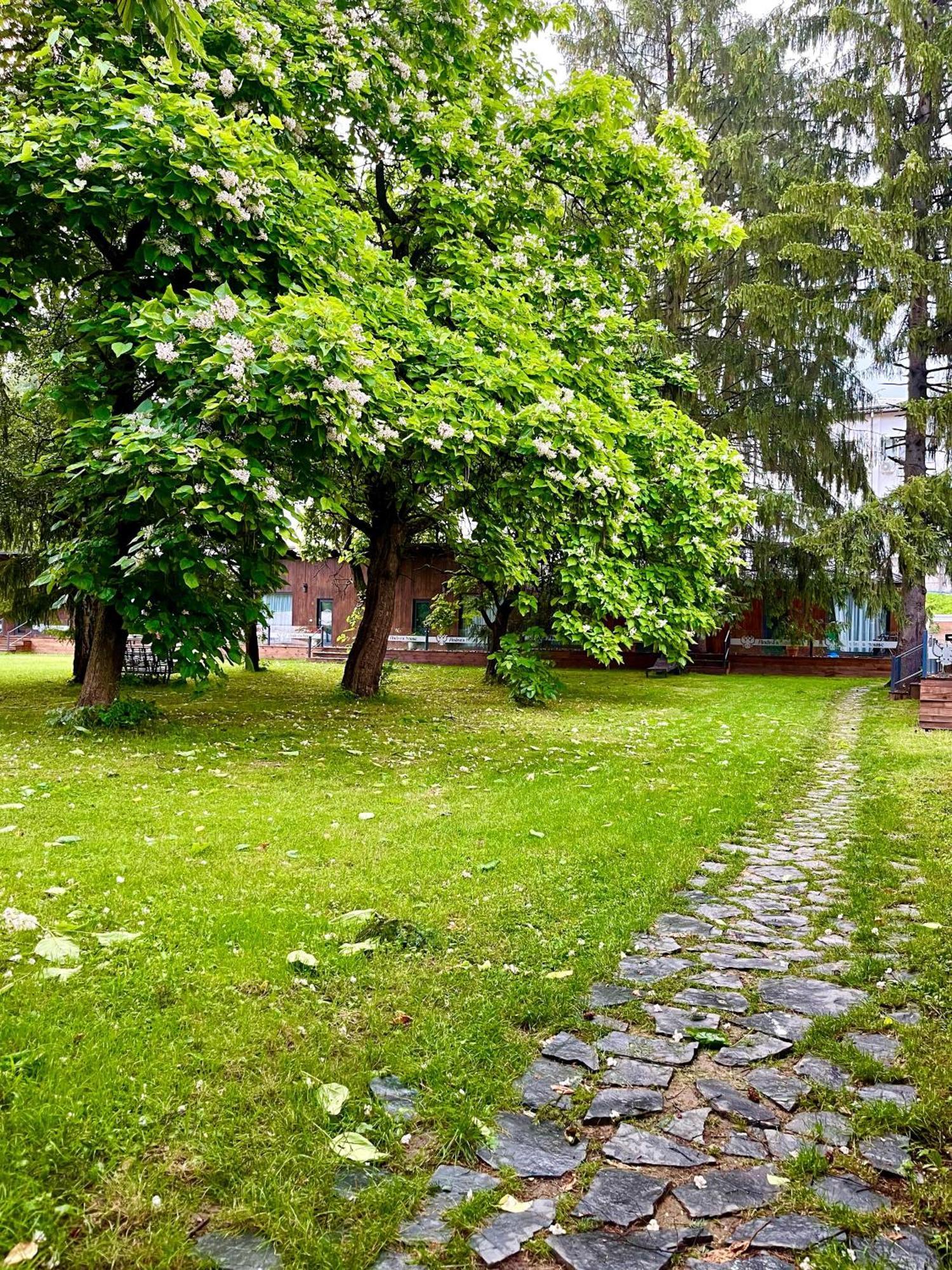 Pension Andra'S House Horezu Dış mekan fotoğraf