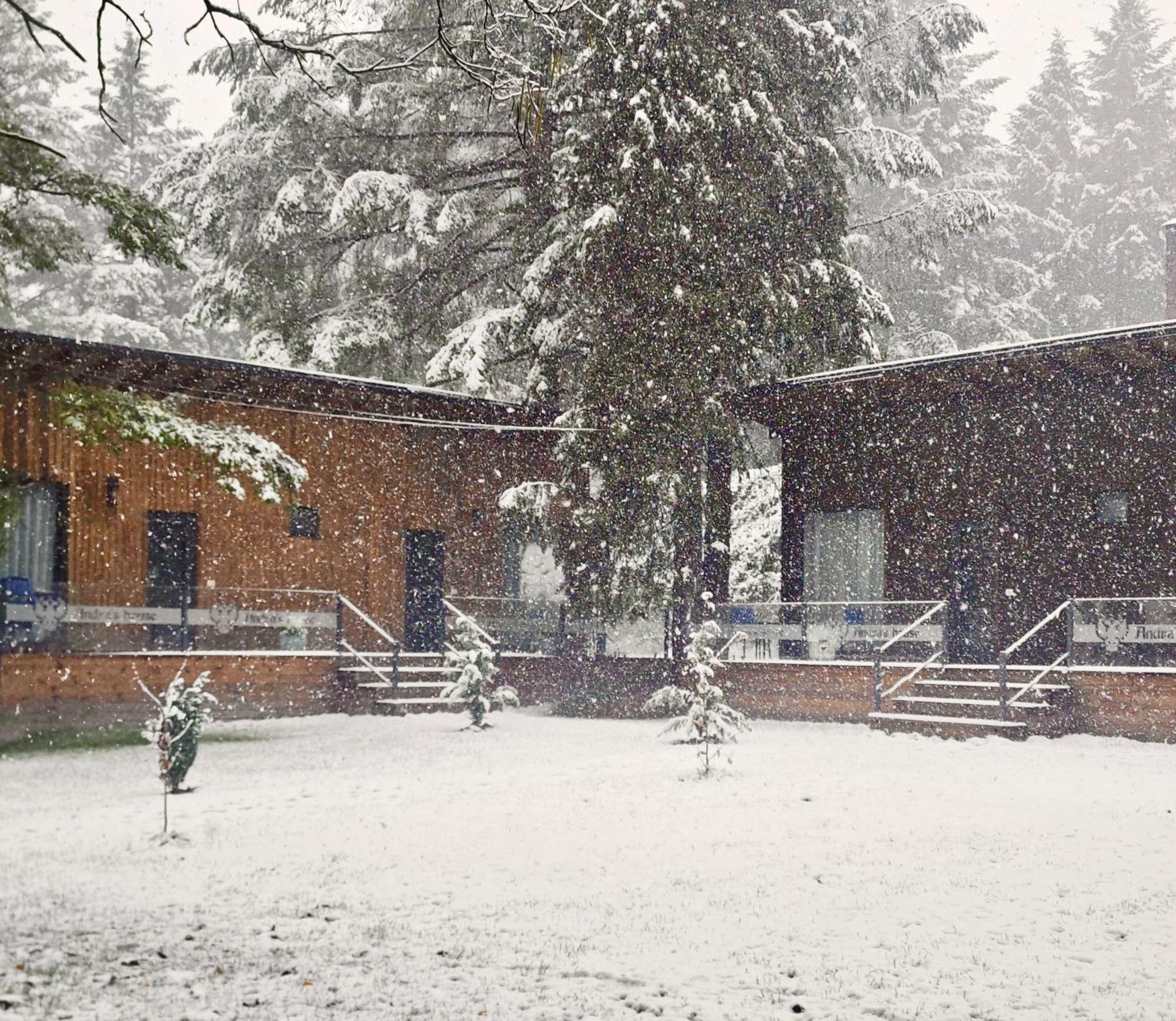 Pension Andra'S House Horezu Dış mekan fotoğraf